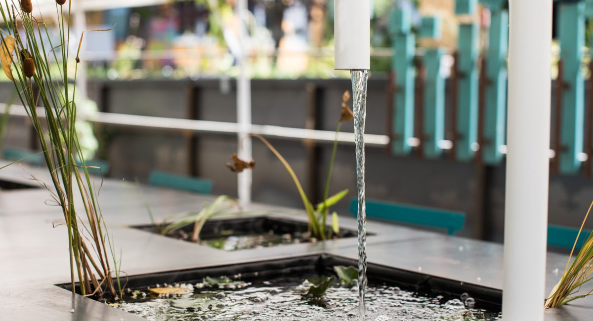 Biologisch und Einsparungen, Nachhaltigkeit für Umwelt und Stadt