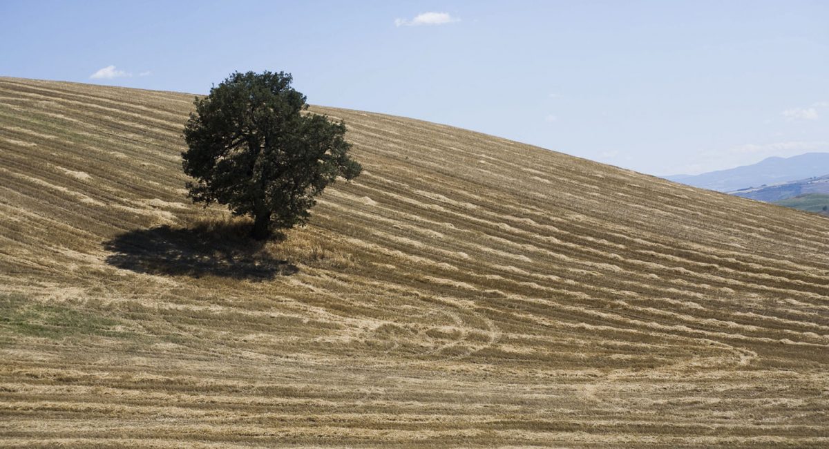 Biologisch, das Land bewohnen