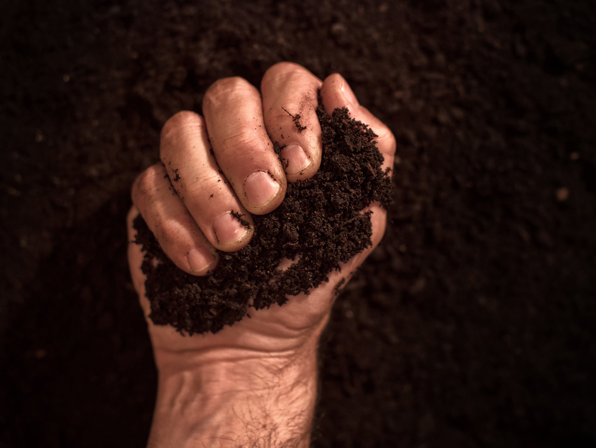 Beim Land Grabbing ist Bewusstsein gefragt